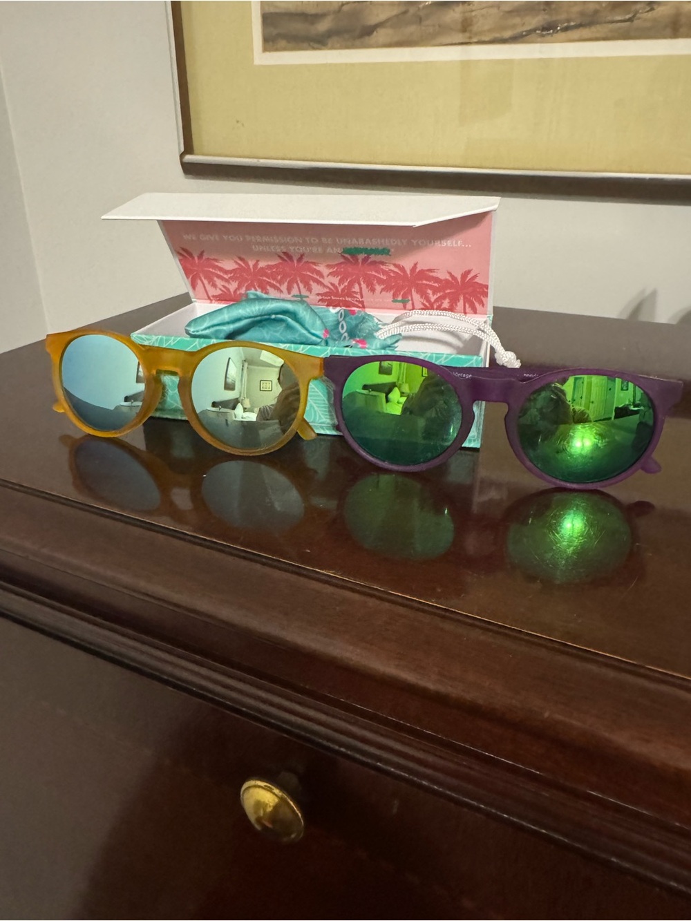 Circle G Goodr Glasses